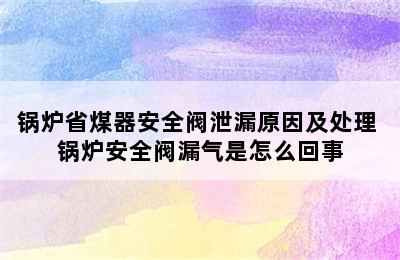 锅炉省煤器安全阀泄漏原因及处理 锅炉安全阀漏气是怎么回事